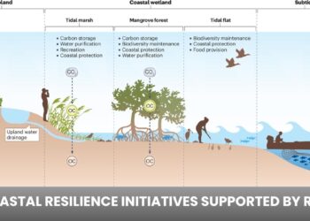 Coastal Resilience Initiatives Supported by REPI: Strengthening Defense and Community Shorelines