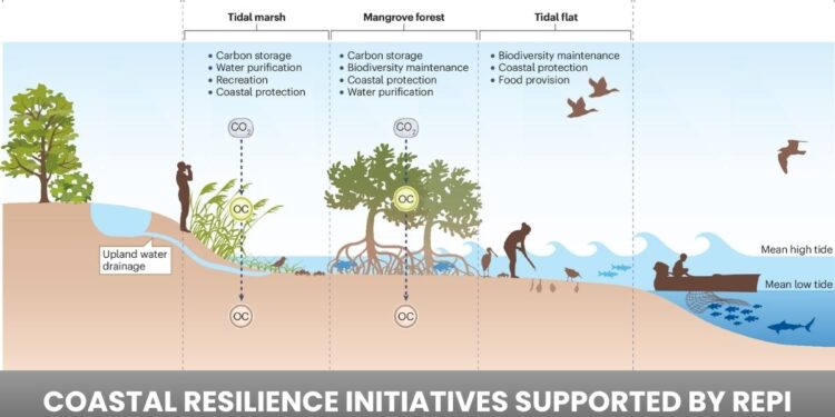 Coastal Resilience Initiatives Supported by REPI: Strengthening Defense and Community Shorelines