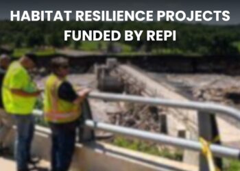 Habitat Resilience Projects Funded by the REPI: Strengthening Ecosystems and Military Readiness