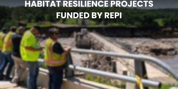 Habitat Resilience Projects Funded by the REPI: Strengthening Ecosystems and Military Readiness