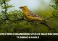 Protecting Endangered Species Near Defense Training Ranges: Balancing Conservation and National Security