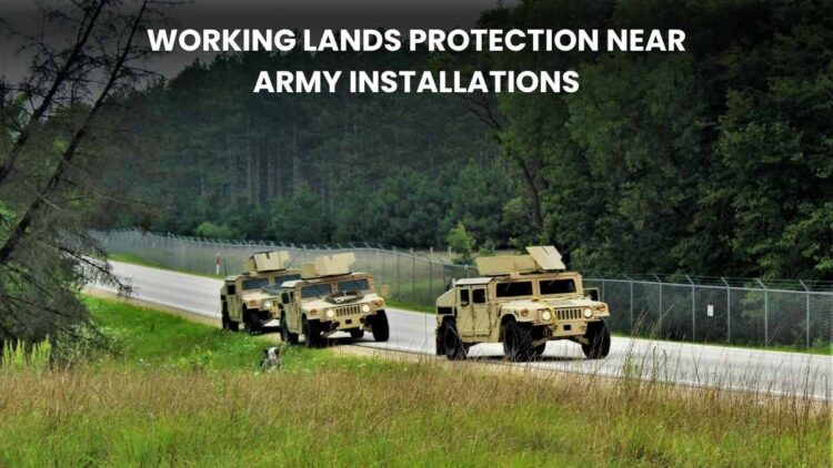 Working Lands Protection near Army Installations: Safeguarding Military Readiness and Rural Livelihoods