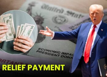 IRS Relief Payment 2025: Latest Updates on The Official Payout!