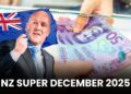 NZ Super December 2025: Important Updates for Seniors and Pensioners