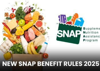 New SNAP Benefit Rules 2025: Check Latest Payment, Payout Amount and More!